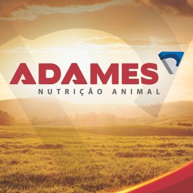 Adames - Lista Lacerda